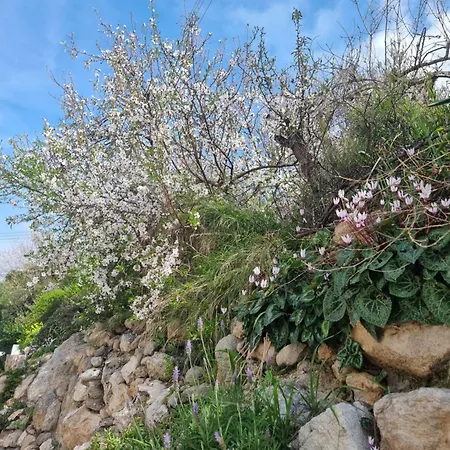 Mediterranean Valley *