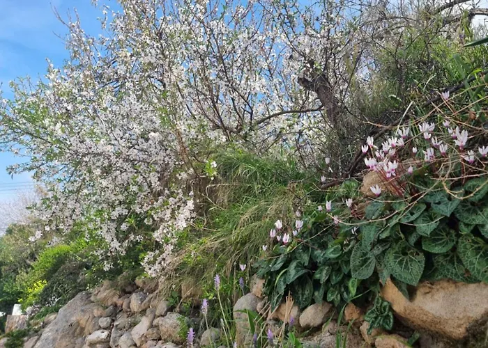 Mediterranean Valley *