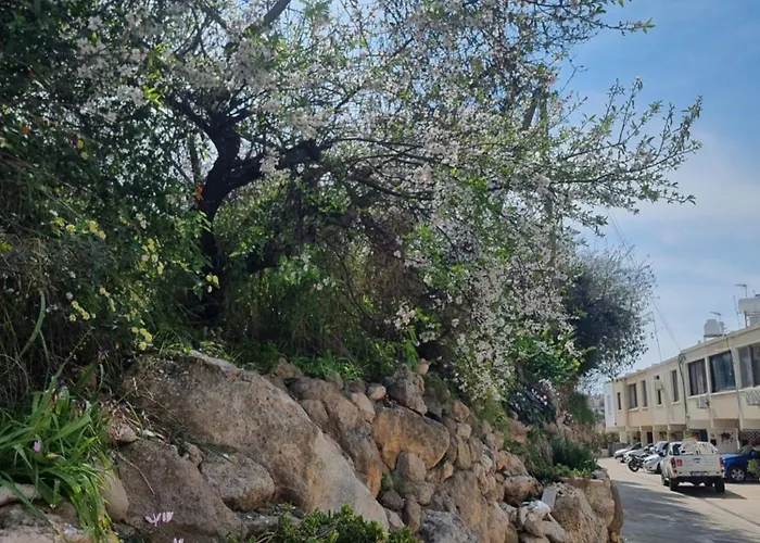 Feriehus Mediterranean Valley *